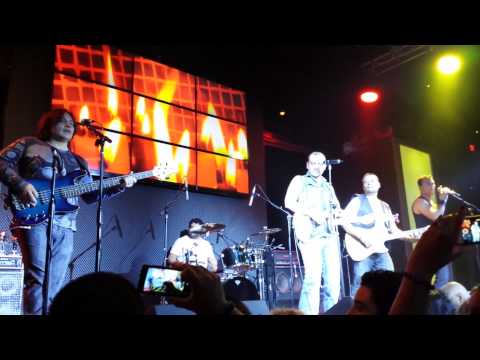 Elefante playing live